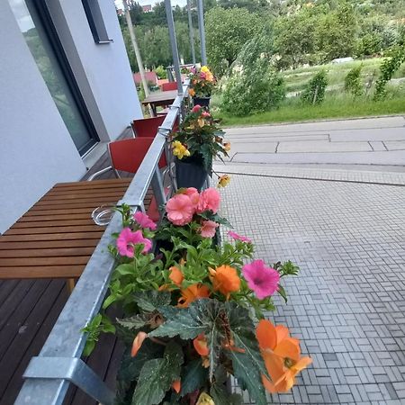 Pension Salma Cesky Krumlov Exterior photo